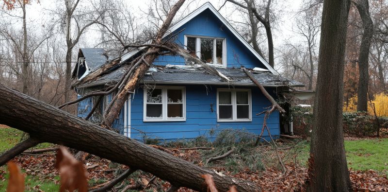 Shower Installation Service